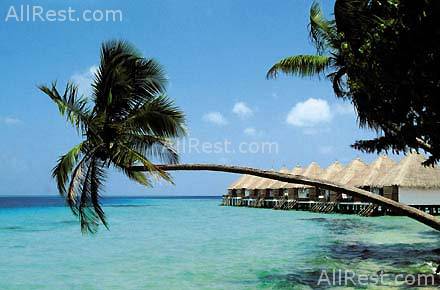 Coco Palm Bodu Hithi 5